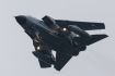 Panavia Tornado ECR