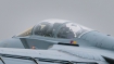 Panavia Tornado ECR