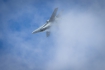 McDonnell Douglas F-18C Hornet