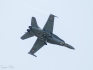 McDonnell Douglas F/A-18C Hornet