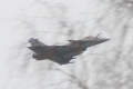 Dassault Rafale