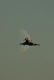 Eurofighter EF-2000 Typhoon S