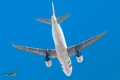 Airbus A319-111