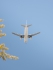 Airbus A320-231