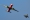 Airbus A220-300