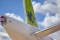 Airbus A220-300
