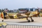 Yakovlev (Aerostar) Yak-52TW