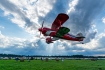 Pitts 12 Monster