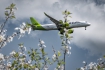 Airbus A220-300