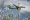 Airbus A220-300