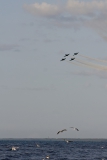 Aero L-39C Albatros