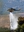 Bell 214ST (37) (autors: GustavsG)