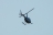Robinson R-44 Raven II (17) (autors: AdrianP)