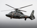 Eurocopter AS-365N-3+ Dauphin 2