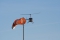 Robinson R-44 Raven II