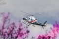 AgustaWestland AW-119 Kx Koala