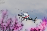 AgustaWestland AW-119 Kx Koala