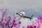 AgustaWestland AW-119 Kx Koala