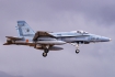 McDonnell Douglas EF-18A Hornet