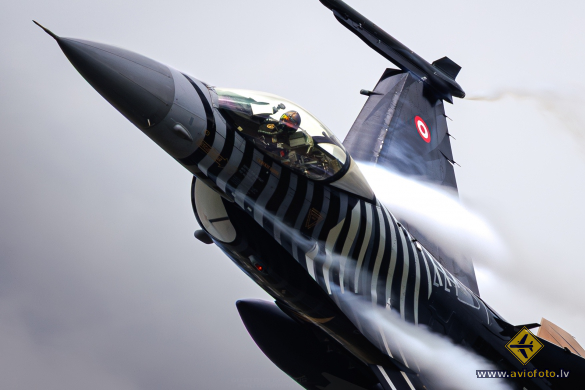General Dynamics (TUSAS) F-16C Fighting Falcon (401)