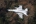 Lockheed Martin F-16C Fighting Falcon