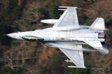 Lockheed Martin F-16C Fighting Falcon