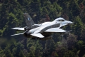 Lockheed Martin F-16CJ Fighting Falcon