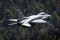 Lockheed Martin F-16CJ Fighting Falcon