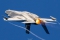 Lockheed Martin F-35A Lightning II