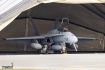 McDonnell Douglas EF-18M Hornet
