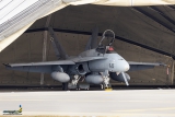 McDonnell Douglas EF-18M Hornet