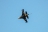 General Dynamics (TUSAS) F-16C Fighting Falcon (401) (60) (autors: AdrianP)