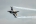 General Dynamics (TUSAS) F-16C Fighting Falcon (401)