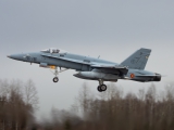 McDonnell Douglas EF-18M Hornet