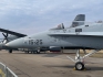 McDonnell Douglas EF-18M Hornet
