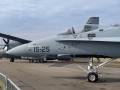McDonnell Douglas EF-18M Hornet