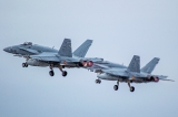 McDonnell Douglas EF-18M Hornet