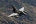 Dassault Mirage 2000D