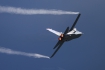 Panavia Tornado IDS
