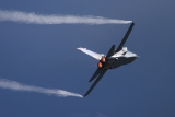 Panavia Tornado IDS
