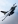 General Dynamics (TUSAS) F-16C Fighting Falcon (401)