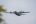 Lockheed Martin CC-130J-30 Hercules (L-382)