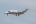 Piaggio P-180AM Avanti