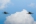 McDonnell Douglas EF-18M Hornet