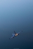 Dassault Rafale C