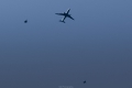 Airbus A330-243