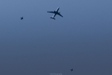 Airbus A330-243