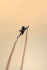 Saab JAS-39C Gripen