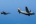 Alenia C-27J Spartan