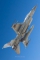Lockheed Martin F-16AM Fighting Falcon
